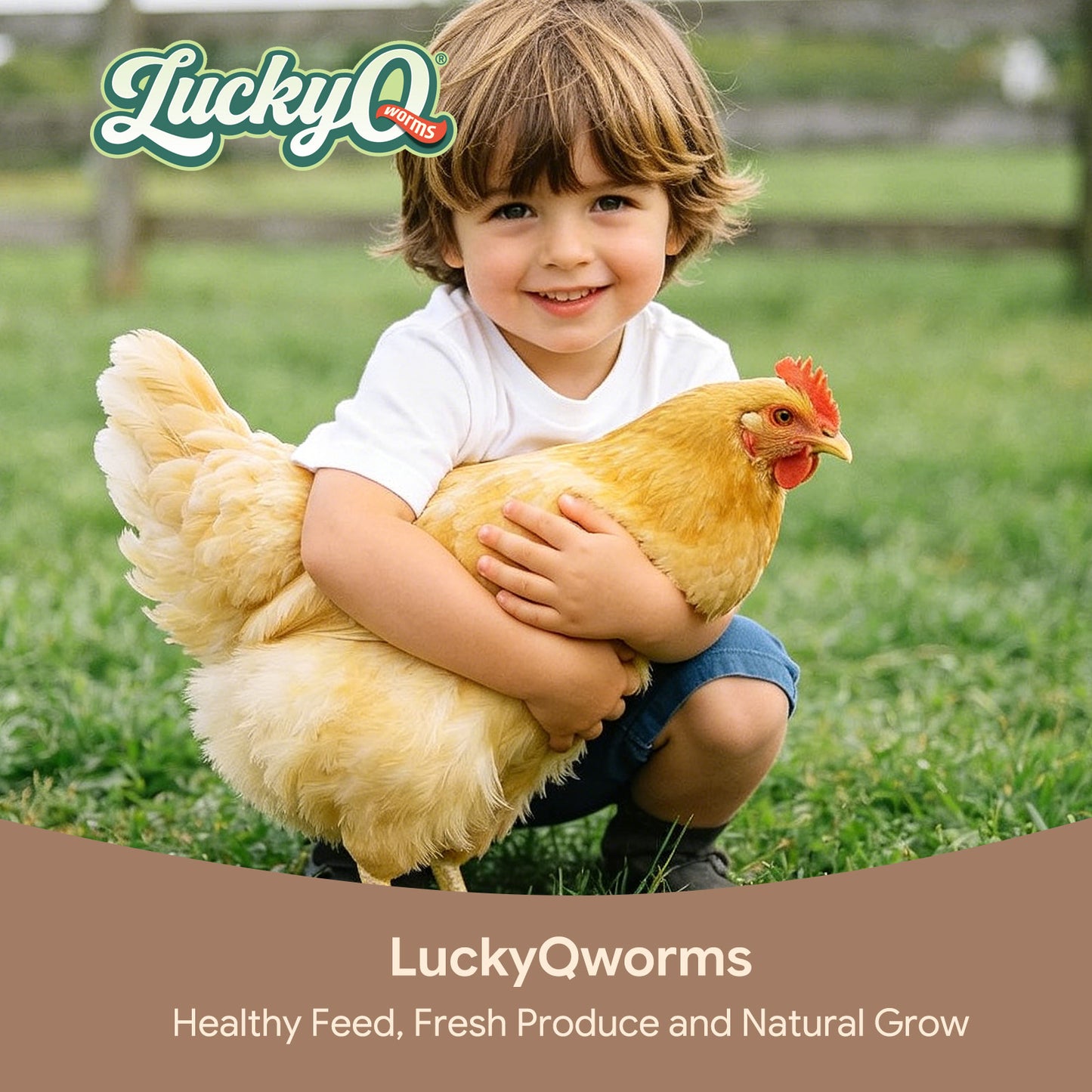 LuckyQworms Dried Crickets 5 lbs for Chickens, Wild Birds, Hedgehogs, Reptiles, Lizards, Bearded Dragons, Fish, Turtles High Protein Natural Insect Food Resealable Bag