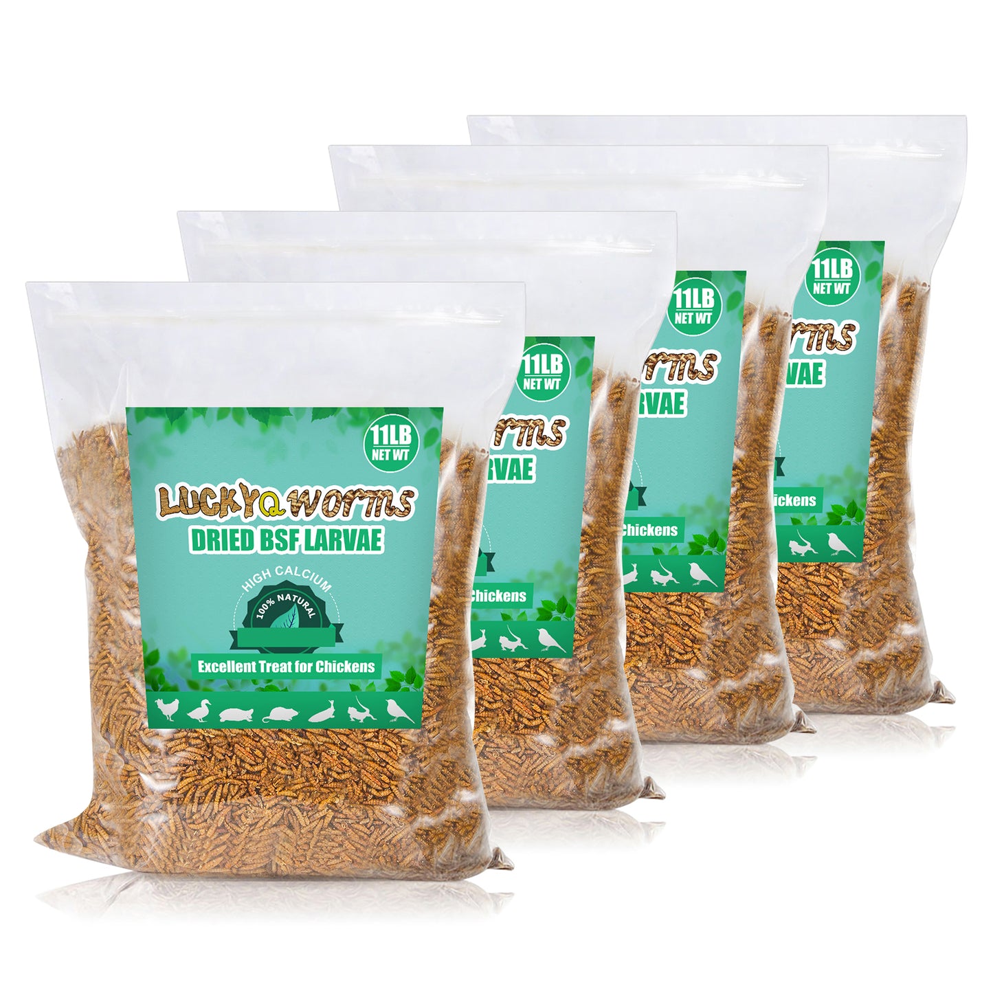 LuckyQworms Dried Black Soldier Fly Larvae, High-Protein BSF Larvae Chicken Treats Non-GMO BSFL for Chickens, Hens, Ducks (Copy)