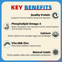 Load image into Gallery viewer, Petfu Apollo1 Series 6-in-1 Poultry Treat Mix High-Protein Mealworms, BSFL, Krill, Sunflower Seeds, Marigold Petals & Shells for Chickens & Ducks | Supports Strong Eggshells, Feather Health & Rich Yolks
