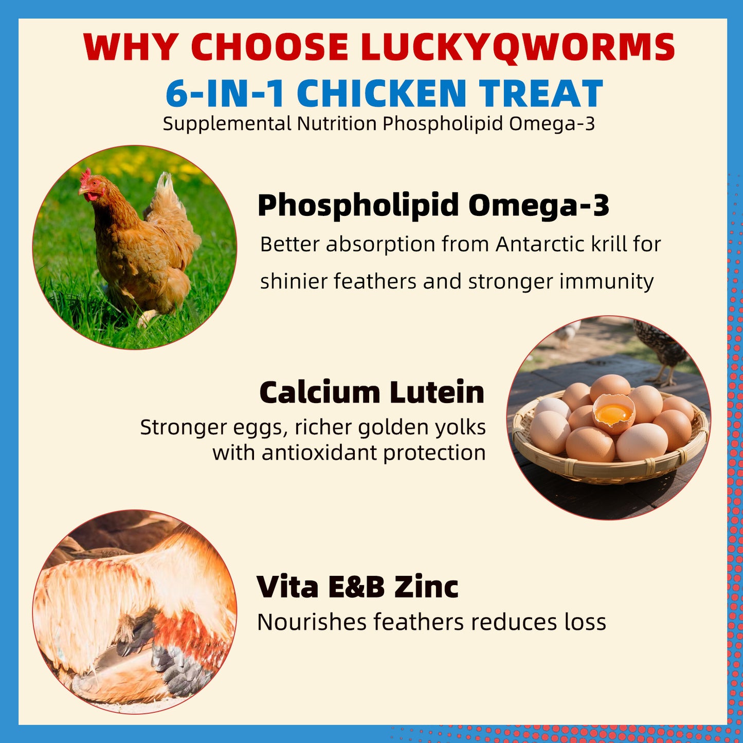 Petfu Apollo1 Series 6-in-1 Poultry Treat Mix High-Protein Mealworms, BSFL, Krill, Sunflower Seeds, Marigold Petals & Shells for Chickens & Ducks | Supports Strong Eggshells, Feather Health & Rich Yolks
