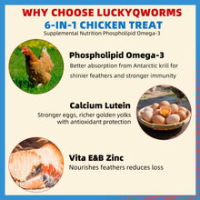Load image into Gallery viewer, Petfu Apollo1 Series 6-in-1 Poultry Treat Mix High-Protein Mealworms, BSFL, Krill, Sunflower Seeds, Marigold Petals & Shells for Chickens & Ducks | Supports Strong Eggshells, Feather Health & Rich Yolks