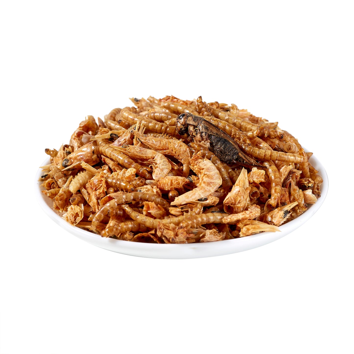 LuckyQworms Dried Mighty Crunch Mix Aquatic Turtle Food 1 lb for Chickens, Wild Birds, Hedgehogs, Reptiles, Lizards, Bearded Dragons, Fish, Turtles High Protein Natural Insect Food Resealable Bag