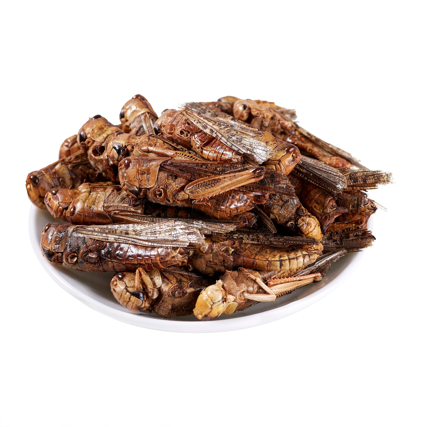 LuckyQworms Dried Grasshoppers 1 lb for Chickens, Wild Birds, Hedgehogs, Reptiles, Lizards, Bearded Dragons, Fish, Turtles High Protein Natural Insect Food Resealable Bag