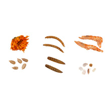 Load image into Gallery viewer, Petfu Apollo1 Series 6-in-1 Poultry Treat Mix 5LBS High-Protein Mealworms, BSFL, Krill, Sunflower Seeds, Marigold Petals & Shells for Chickens & Ducks | Supports Strong Eggshells, Feather Health & Rich Yolks