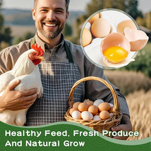 Load image into Gallery viewer, LuckyQworms 11lbs River Shrimp High-Protein Freeze Dried River Shrimp for Chickens Hens Ducks Wild Birds Turtles