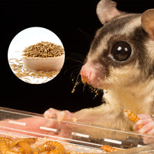 Load image into Gallery viewer, LUCKYQ mealy worms