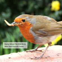 Load image into Gallery viewer, LuckyQworms 20lbs Mealworms, Freeze Dried Mealworms for Birds Chickens Fish