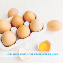 Load image into Gallery viewer, LuckyQworms 40lbs Mealworms, Freeze Dried Mealworms for Birds Chickens Fish