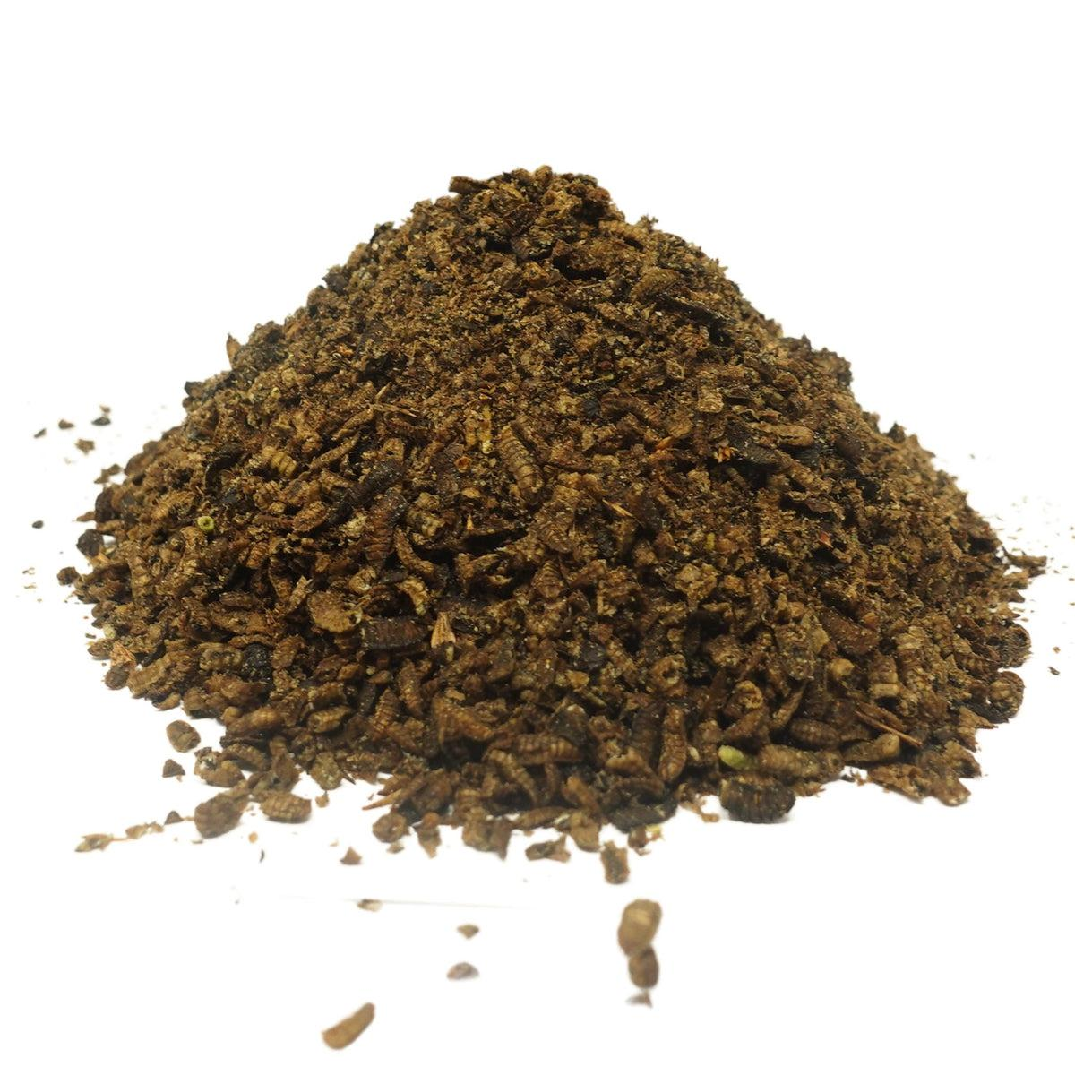 Are You Still Feeding Your Chickens Black Soldier Fly Larvae Like This?