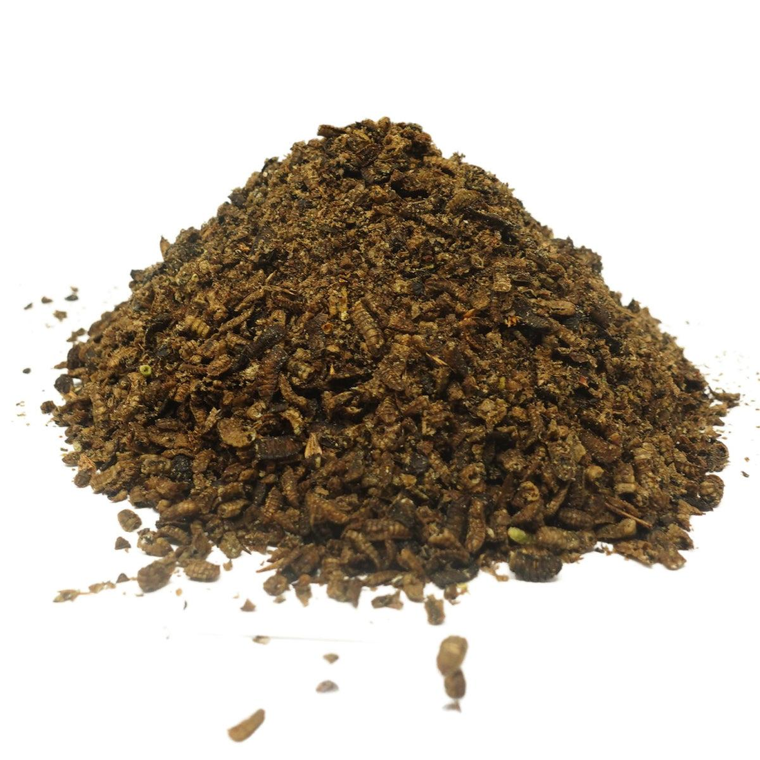 Are You Still Feeding Your Chickens Black Soldier Fly Larvae Like This?