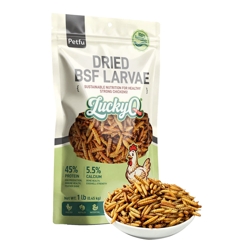 Petfu Dried Black Soldier Fly Larvae 1lb Bag for Chickens