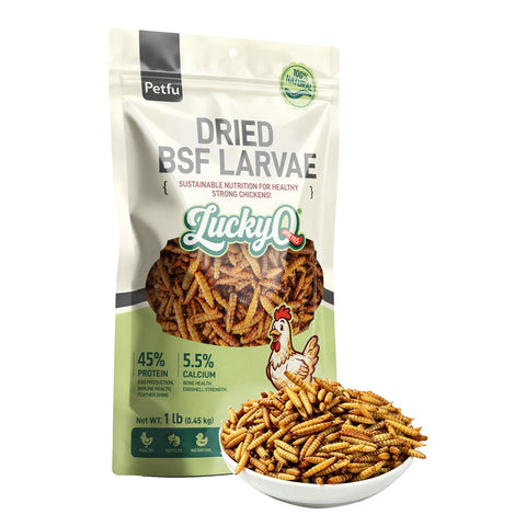 Petfu Dried Black Soldier Fly Larvae 1lb Bag for Chickens