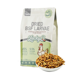 Dried Black Soldier Fly Larvae High-Protein Poultry Treats