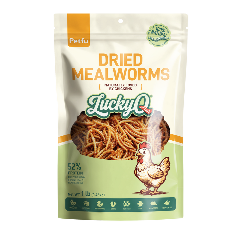 LuckyQworms resealable bag dried mealworms chicken treat