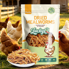 LuckyQworms natural freeze dried mealworms bag for chickens and birds