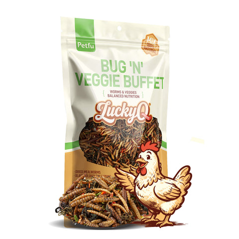 Bug Buffet Box