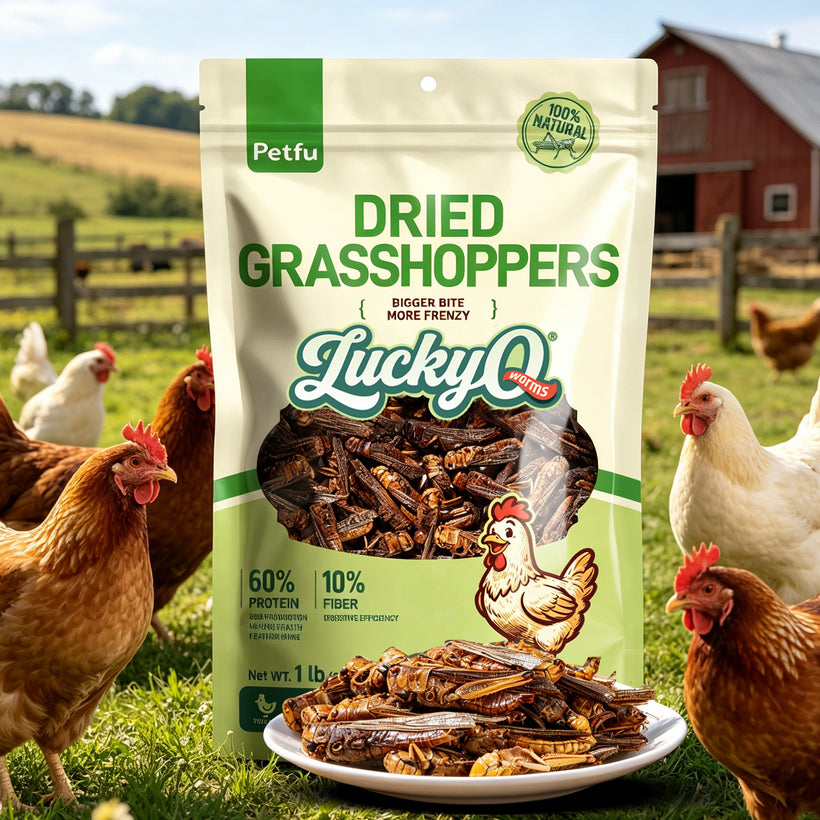PETFU High Protein Dried Grasshoppers Treat Pouch for Reptiles and Birds