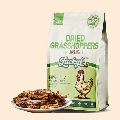 LuckyQworms Dried Grasshoppers 5 lbs for Chickens, Wild Birds, Hedgehogs, Reptiles, Lizards, Bearded Dragons, Fish, Turtles High Protein Natural Insect Food Resealable Bag
