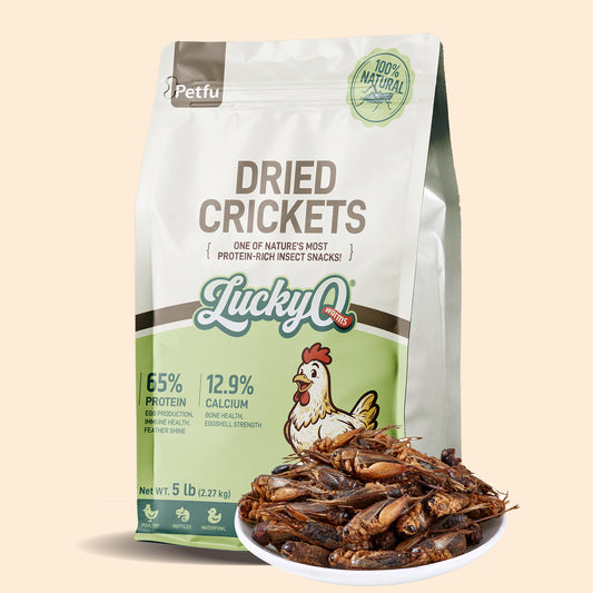 LuckyQworms Dried Crickets 5 lbs for Chickens, Wild Birds, Hedgehogs, Reptiles, Lizards, Bearded Dragons, Fish, Turtles High Protein Natural Insect Food Resealable Bag