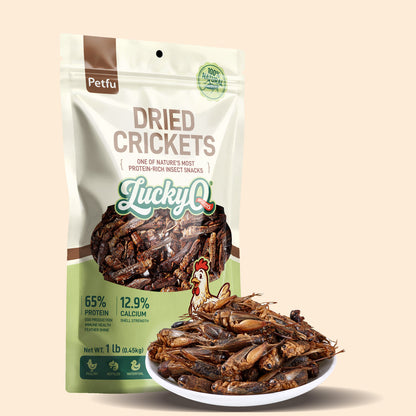 Dried Crickets High-Protein Treats for Reptiles & Birds