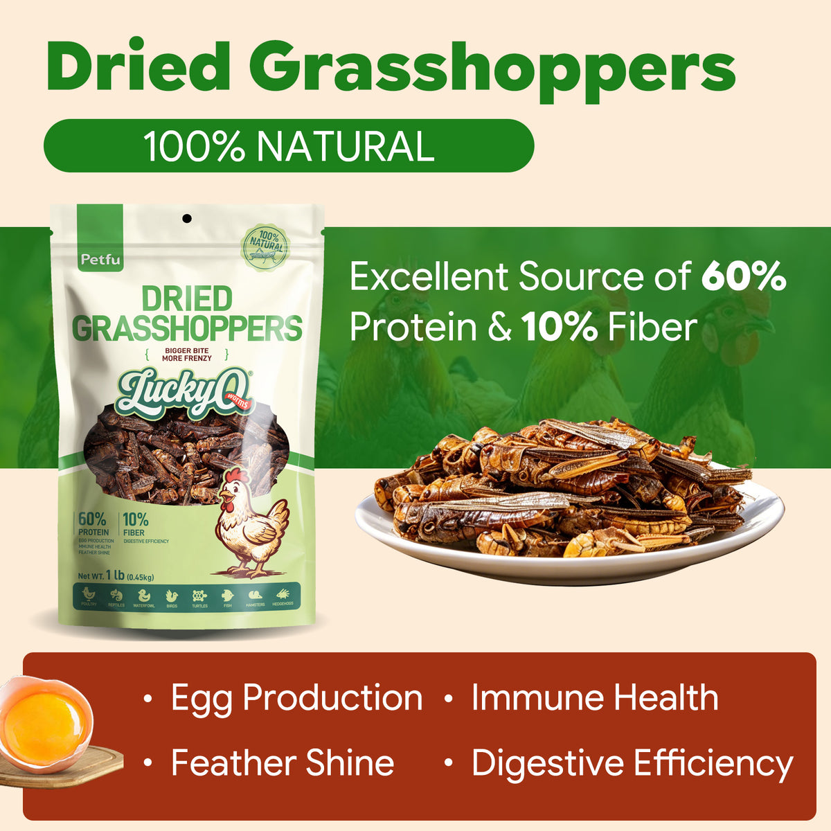 100 Percent Natural Freeze Dried Grasshoppers High Protein Nutritional Analysis