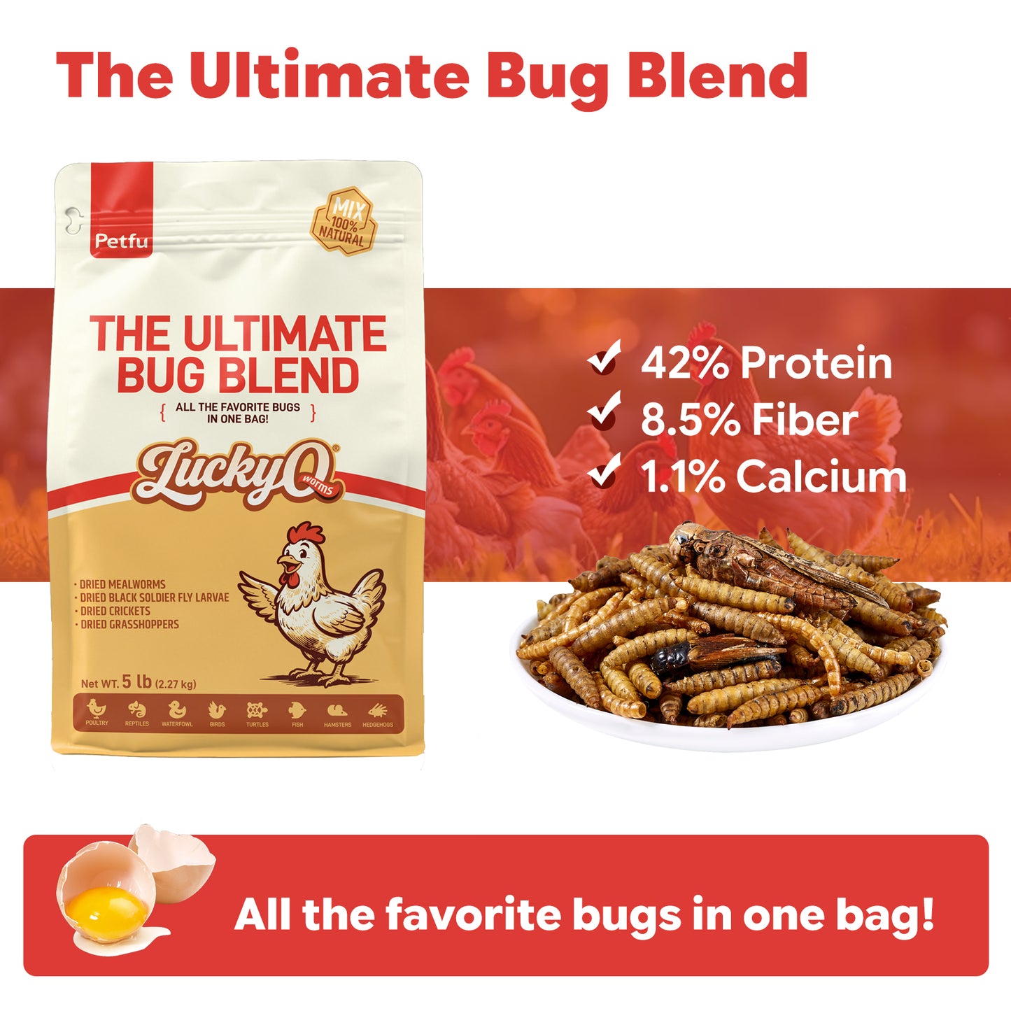 LuckyQworms The Ultimate Bug Blend 5 lbs for Chickens, Wild Birds, Hedgehogs, Reptiles, Lizards, Bearded Dragons, Fish, Turtles High Protein Natural Insect Food Resealable Bag