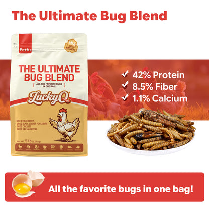 LuckyQworms The Ultimate Bug Blend 5 lbs for Chickens, Wild Birds, Hedgehogs, Reptiles, Lizards, Bearded Dragons, Fish, Turtles High Protein Natural Insect Food Resealable Bag
