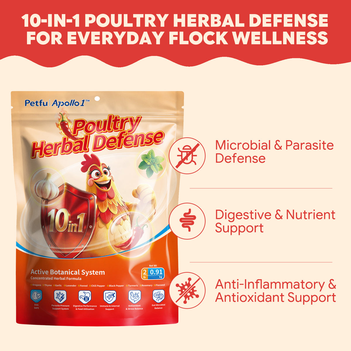 10-in-1 Poultry Herbal Defense for flock wellness