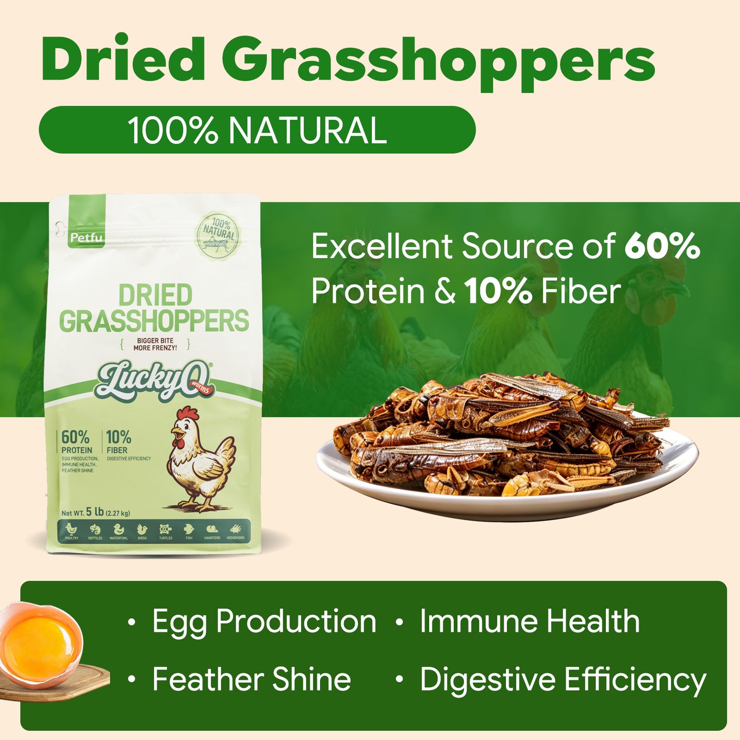 LuckyQworms Dried Grasshoppers 5 lbs for Chickens, Wild Birds, Hedgehogs, Reptiles, Lizards, Bearded Dragons, Fish, Turtles High Protein Natural Insect Food Resealable Bag