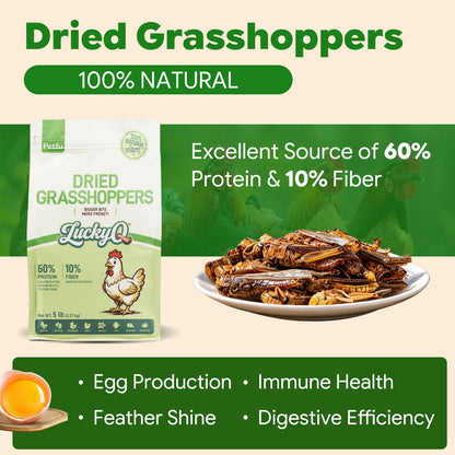 LuckyQworms Dried Grasshoppers 5 lbs for Chickens, Wild Birds, Hedgehogs, Reptiles, Lizards, Bearded Dragons, Fish, Turtles High Protein Natural Insect Food Resealable Bag
