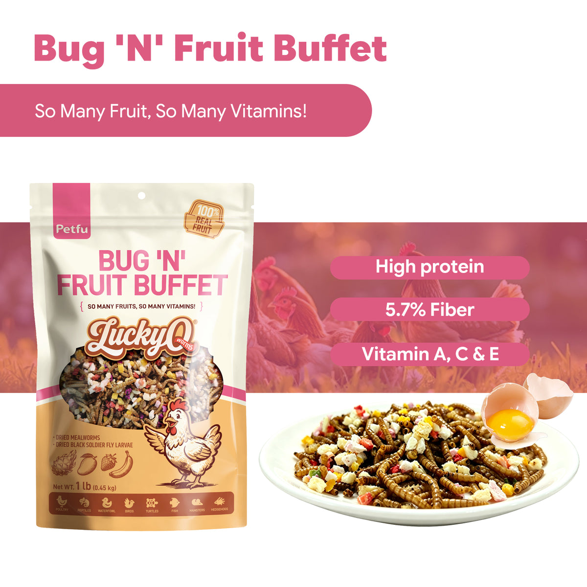Mealworms & BSFL deliver protein and calcium to support strong muscles and bones.