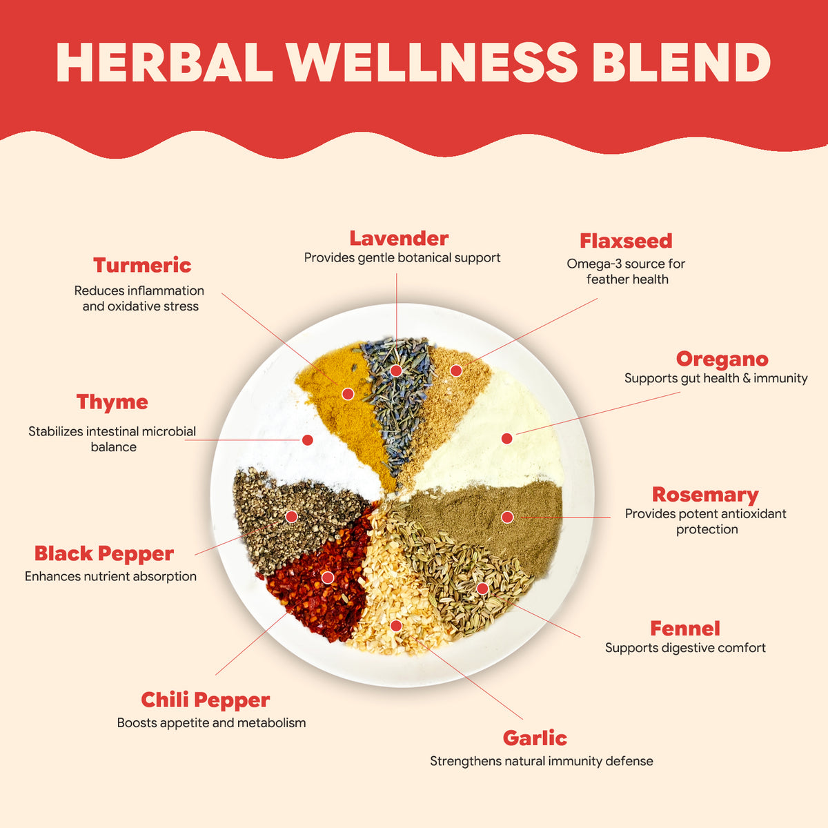 10 botanical components for poultry health