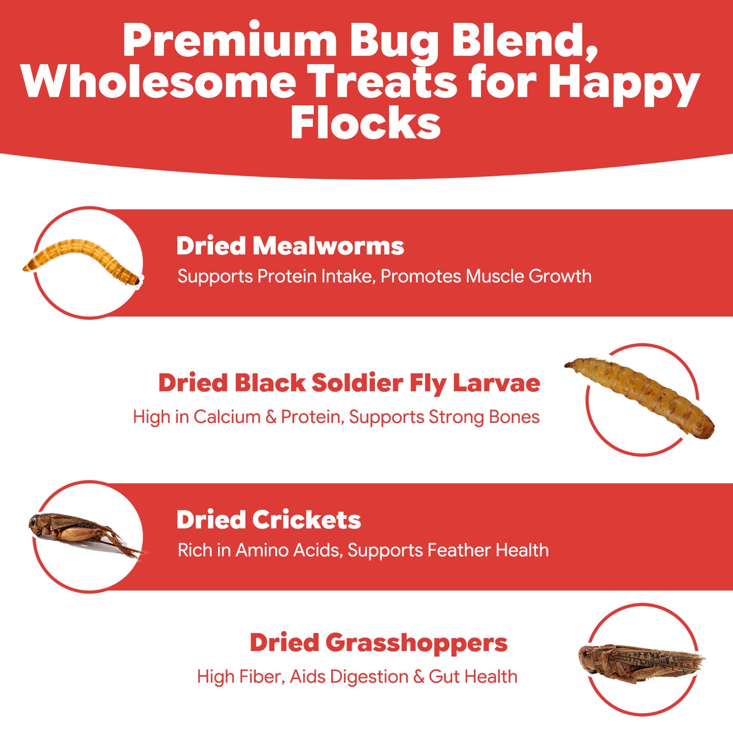 LuckyQworms The Ultimate Bug Blend 5 lbs for Chickens, Wild Birds, Hedgehogs, Reptiles, Lizards, Bearded Dragons, Fish, Turtles High Protein Natural Insect Food Resealable Bag