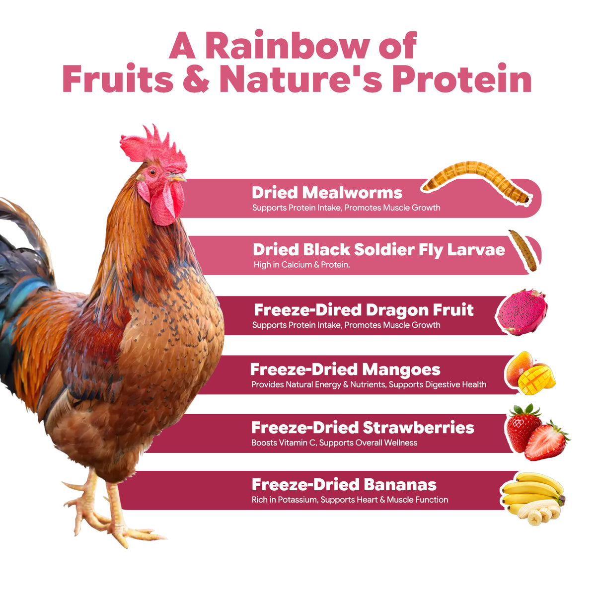 Freeze-Dried Dragon Fruit & Mangoes provide protein, energy & nutrients to support muscle growth and digestive health.