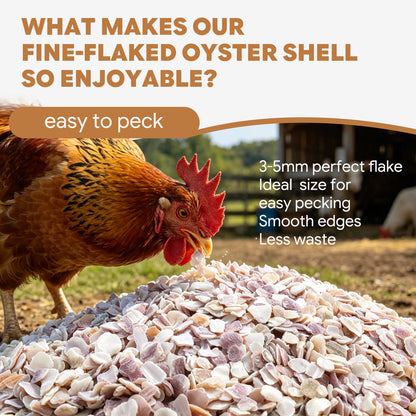 Fine-Flaked Oyster Shell for Laying Hens