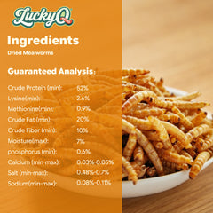 Nutritious chicken feed and mealworm treats for hens and poultry