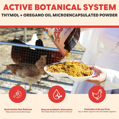 natural alternative antibiotic for poultry gut health