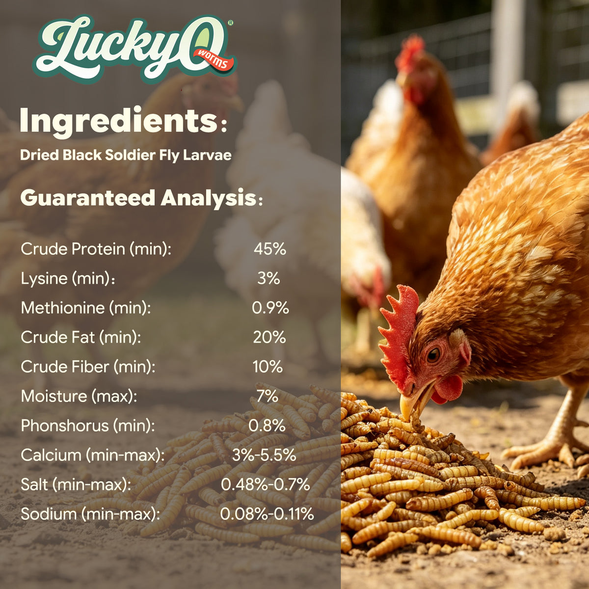 Black Soldier Fly Larvae Guaranteed Analysis and Protein Content