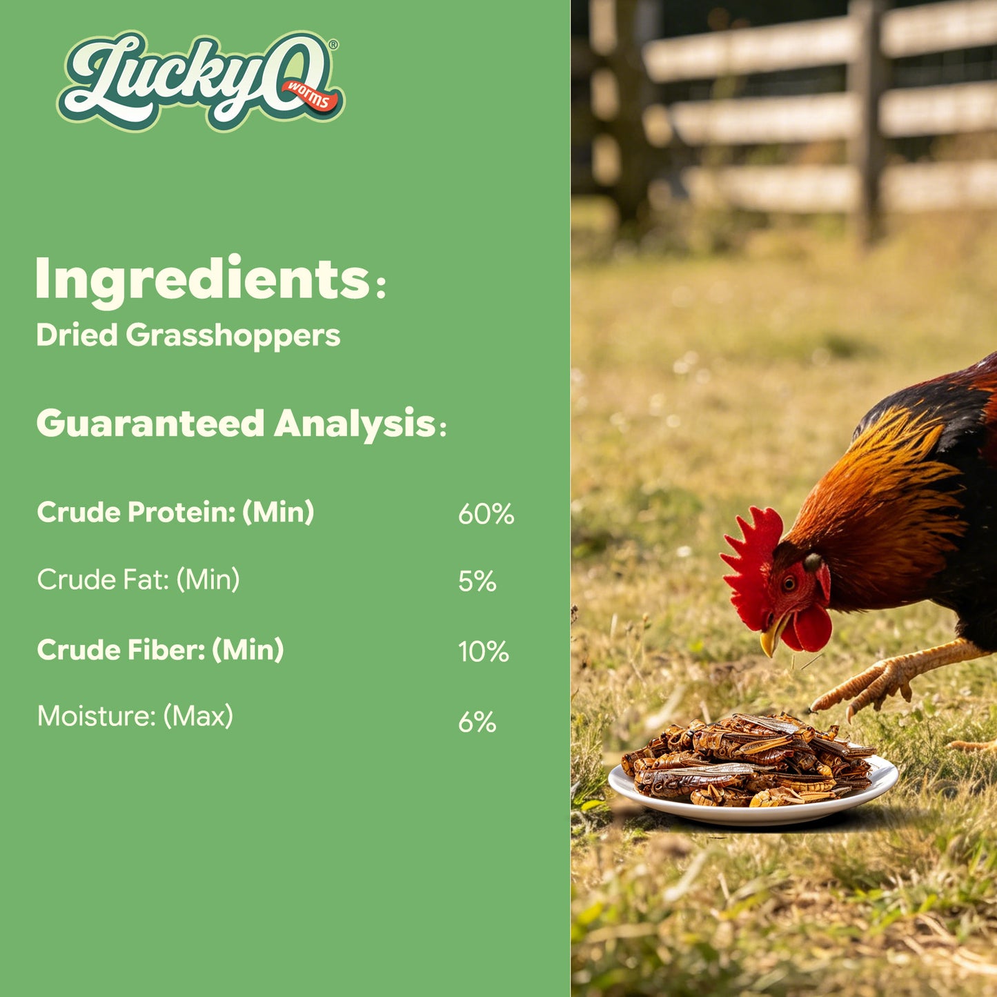 LuckyQworms Dried Grasshoppers 5 lbs for Chickens, Wild Birds, Hedgehogs, Reptiles, Lizards, Bearded Dragons, Fish, Turtles High Protein Natural Insect Food Resealable Bag