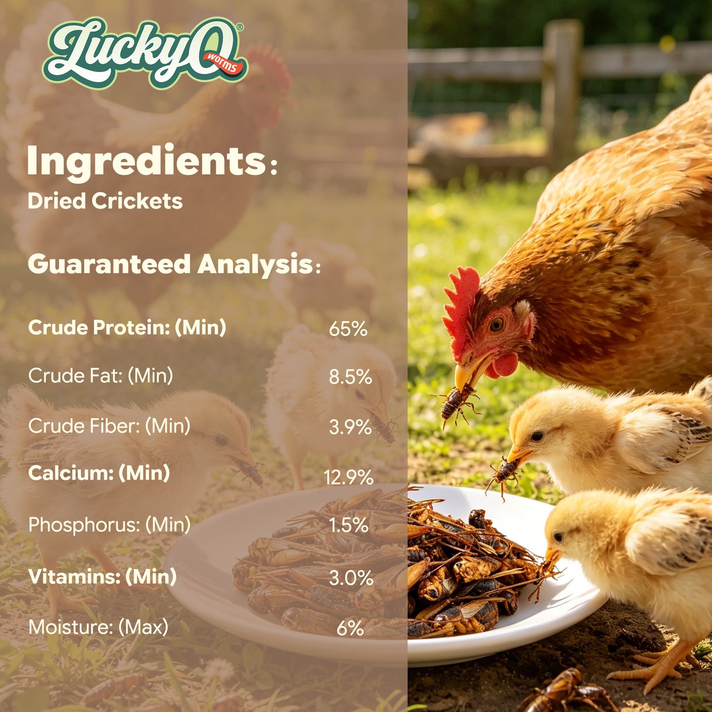 LuckyQworms Dried Crickets 5 lbs for Chickens, Wild Birds, Hedgehogs, Reptiles, Lizards, Bearded Dragons, Fish, Turtles High Protein Natural Insect Food Resealable Bag