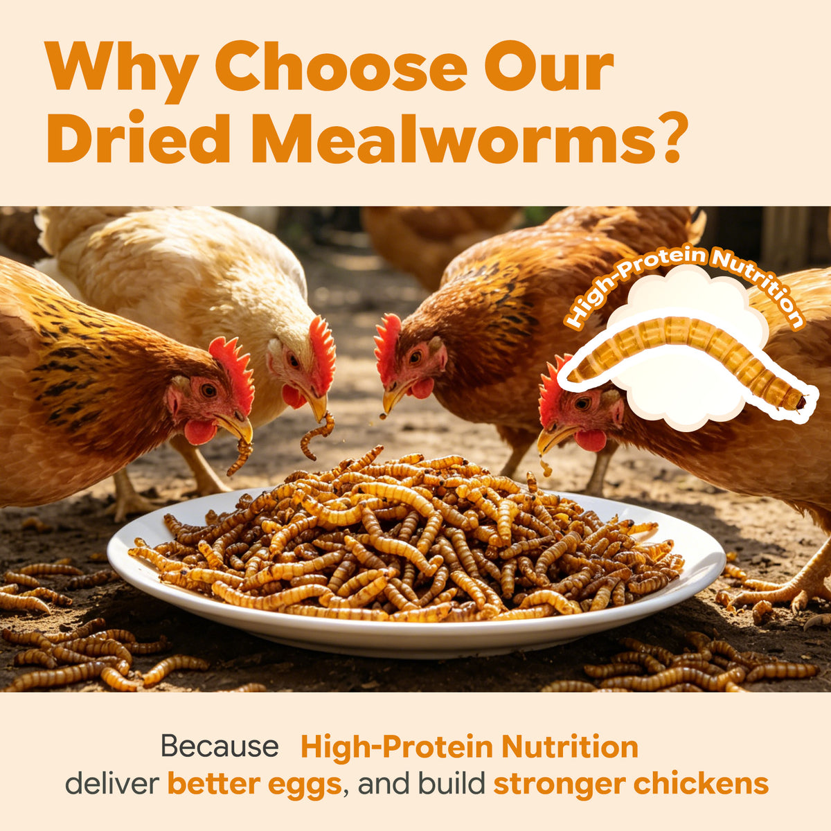 Natural insect food treat for garden birds and wild birds