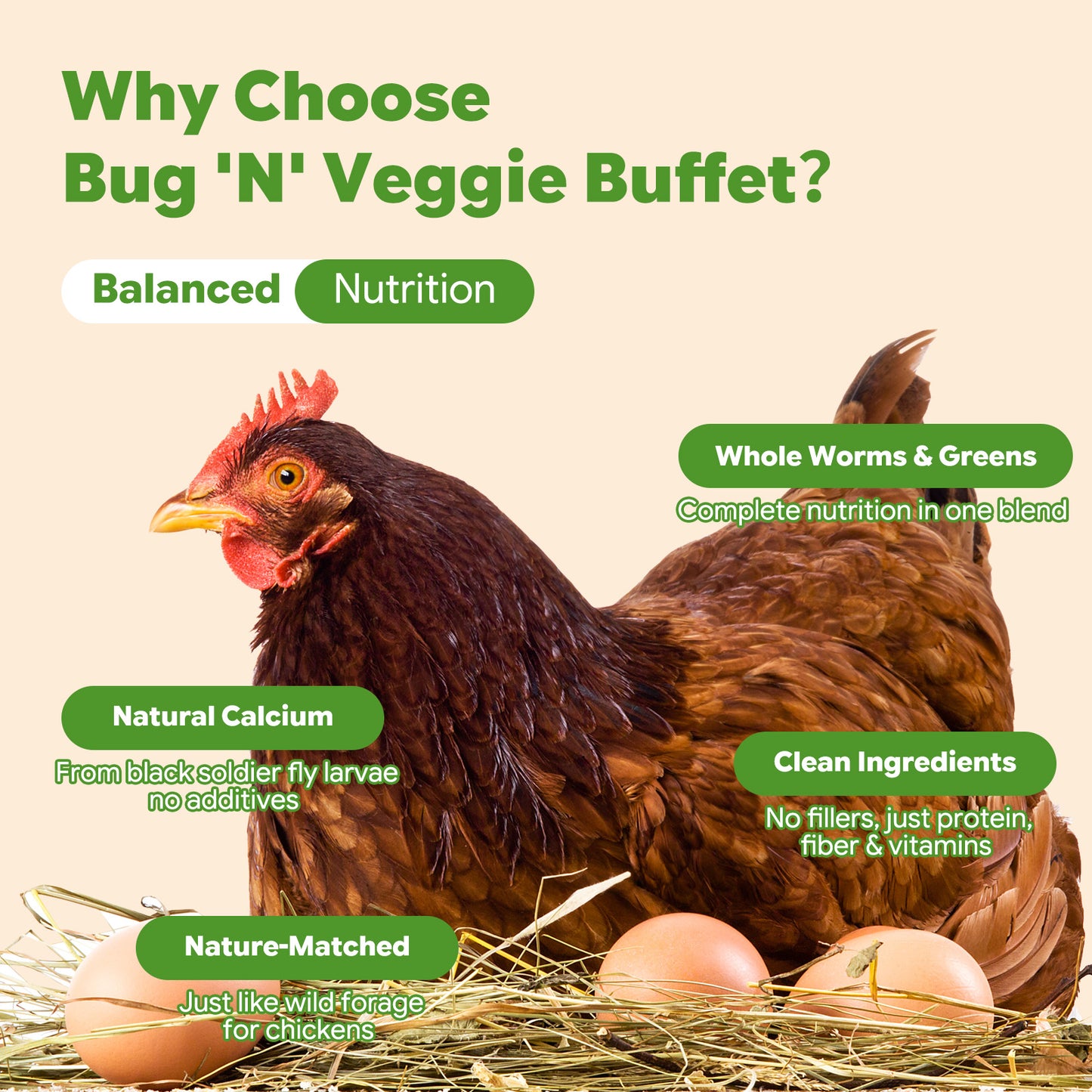 LuckyQworms Bug 'N' Veggie Buffet 5 lbs for Chickens, Wild Birds, Hedgehogs, Reptiles, Lizards, Bearded Dragons, Fish, Turtles High Protein Natural Insect Food Resealable Bag