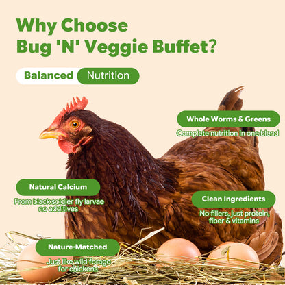 LuckyQworms Bug 'N' Veggie Buffet 5 lbs for Chickens, Wild Birds, Hedgehogs, Reptiles, Lizards, Bearded Dragons, Fish, Turtles High Protein Natural Insect Food Resealable Bag