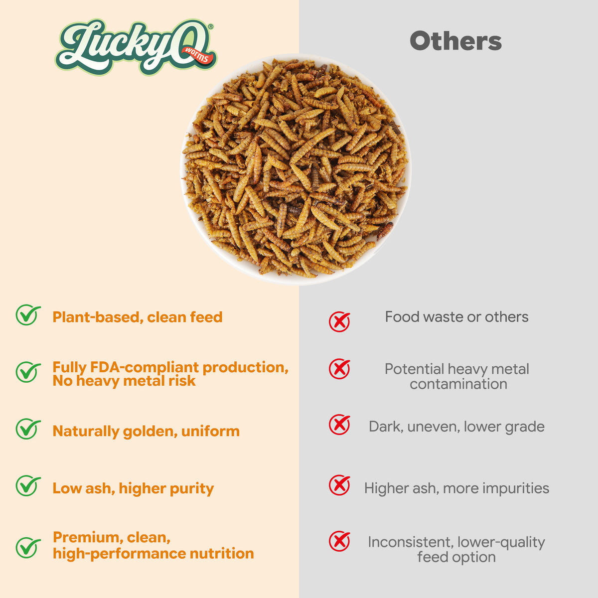 Premium Non-GMO Farm Raised Dried Black Soldier Fly Grubs