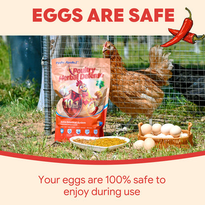 Yours eggs are 100% safe to enjoy during use