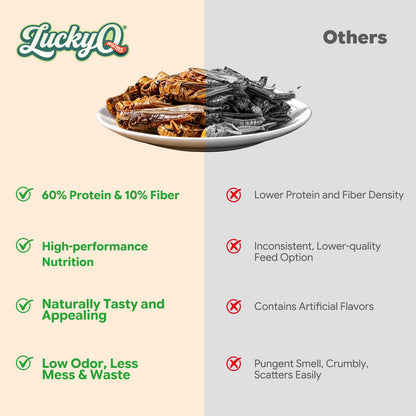 LuckyQworms Dried Grasshoppers 5 lbs for Chickens, Wild Birds, Hedgehogs, Reptiles, Lizards, Bearded Dragons, Fish, Turtles High Protein Natural Insect Food Resealable Bag