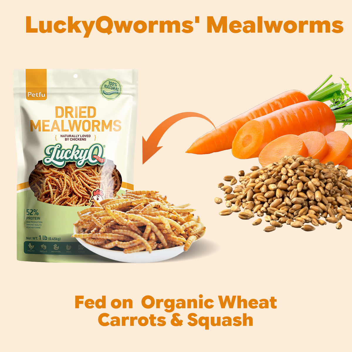 Protein rich dried mealworms for reptiles turtles and small animals
