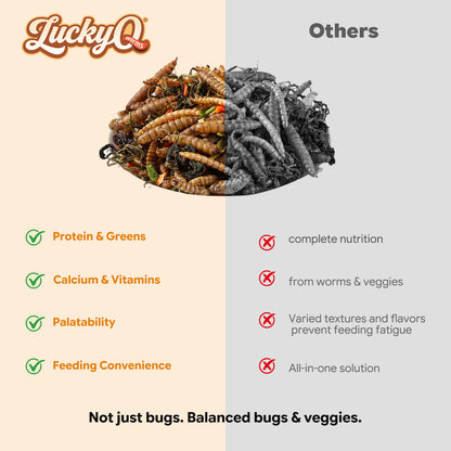 LuckyQworms Bug 'N' Veggie Buffet 5 lbs for Chickens, Wild Birds, Hedgehogs, Reptiles, Lizards, Bearded Dragons, Fish, Turtles High Protein Natural Insect Food Resealable Bag