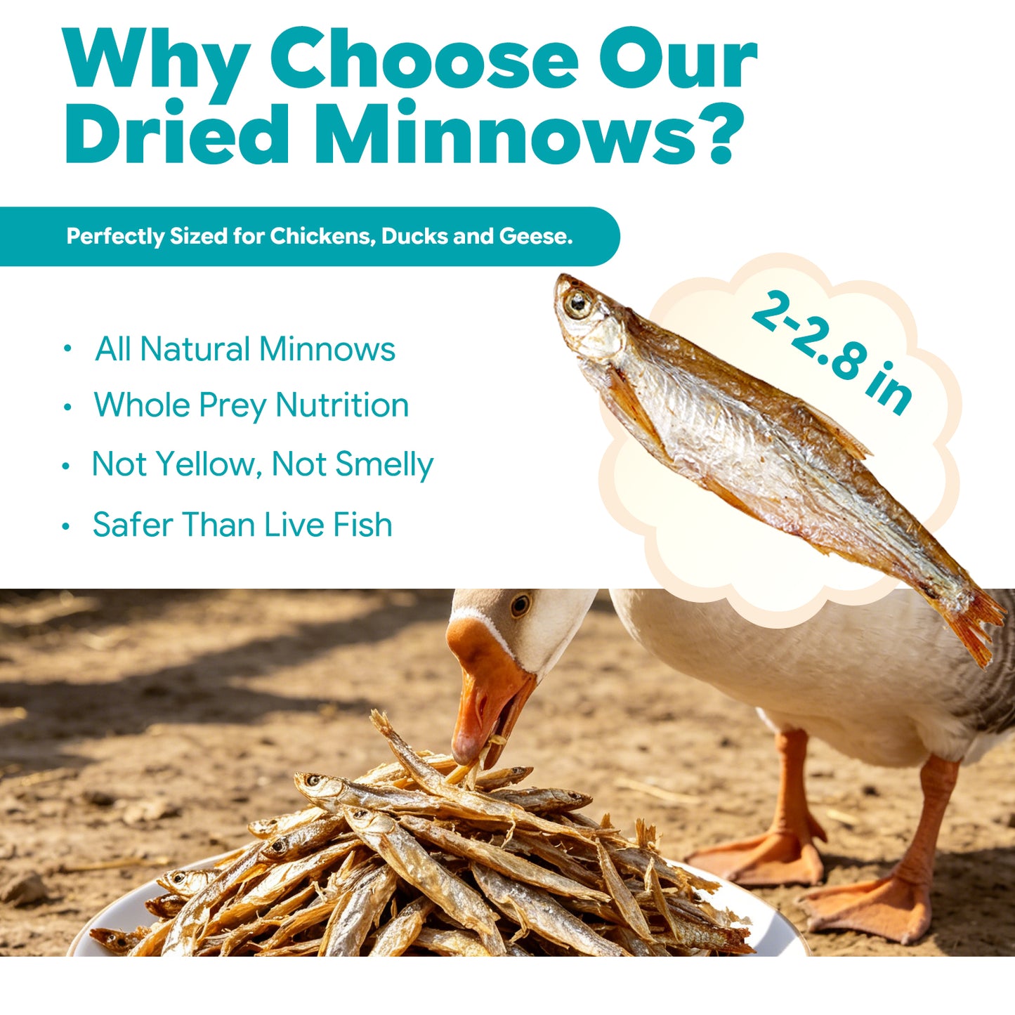 LuckyQworms Dried Freshwater Fish 5 lbs for Cats, Chickens, Wild Birds, Hedgehogs, Reptiles, Lizards, Bearded Dragons, Fish, Turtles High Protein Natural Insect Food Resealable Bag