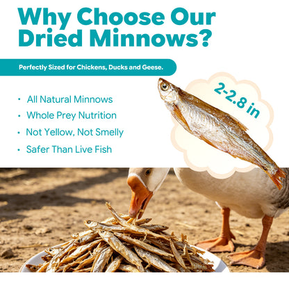 LuckyQworms Dried Freshwater Fish 5 lbs for Cats, Chickens, Wild Birds, Hedgehogs, Reptiles, Lizards, Bearded Dragons, Fish, Turtles High Protein Natural Insect Food Resealable Bag